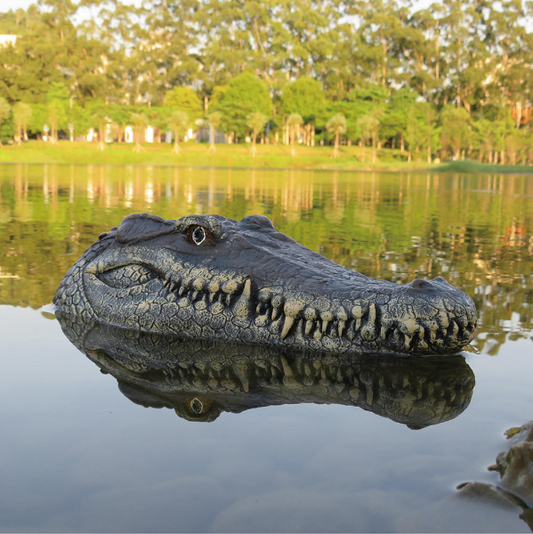 Crocodile Head Remote Control  Boat